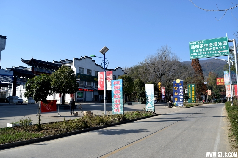 DSC_3237.JPG