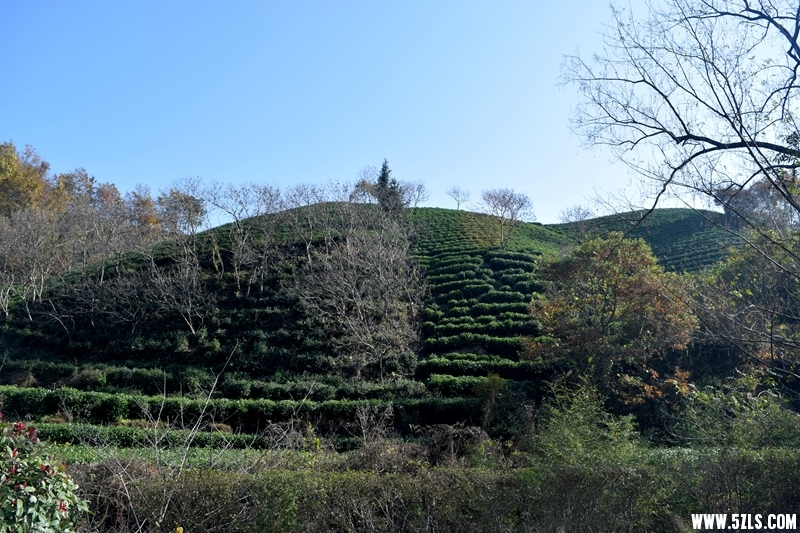 DSC_3252.JPG