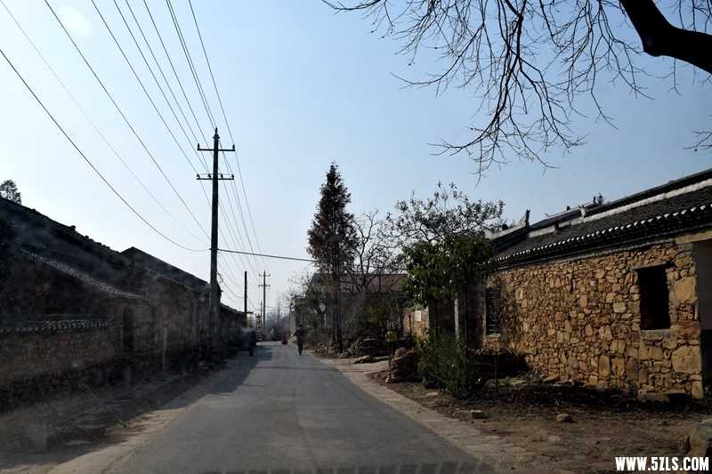 DSC_3264.JPG