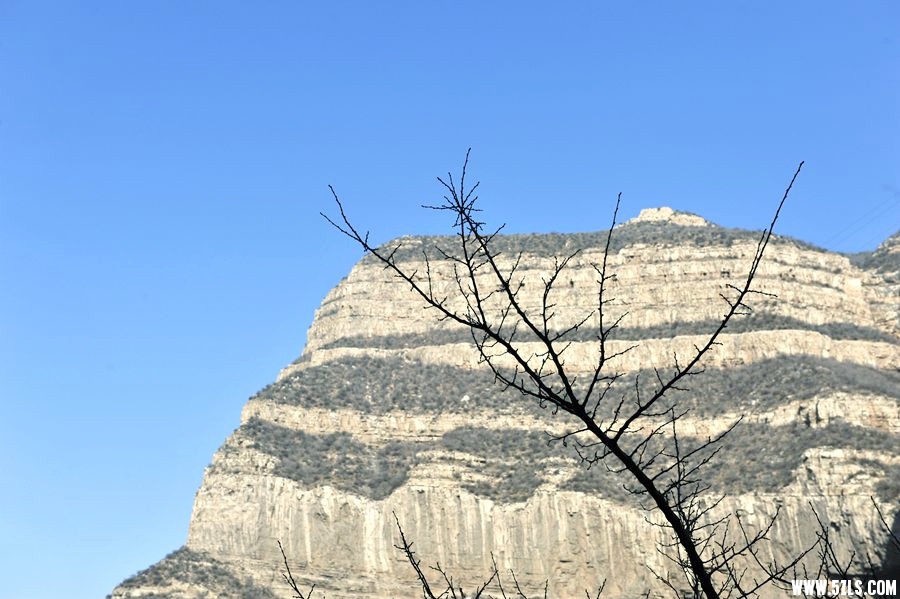 _DSC3411__.jpg