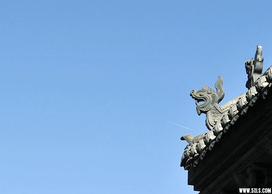 _DSC2597__.jpg