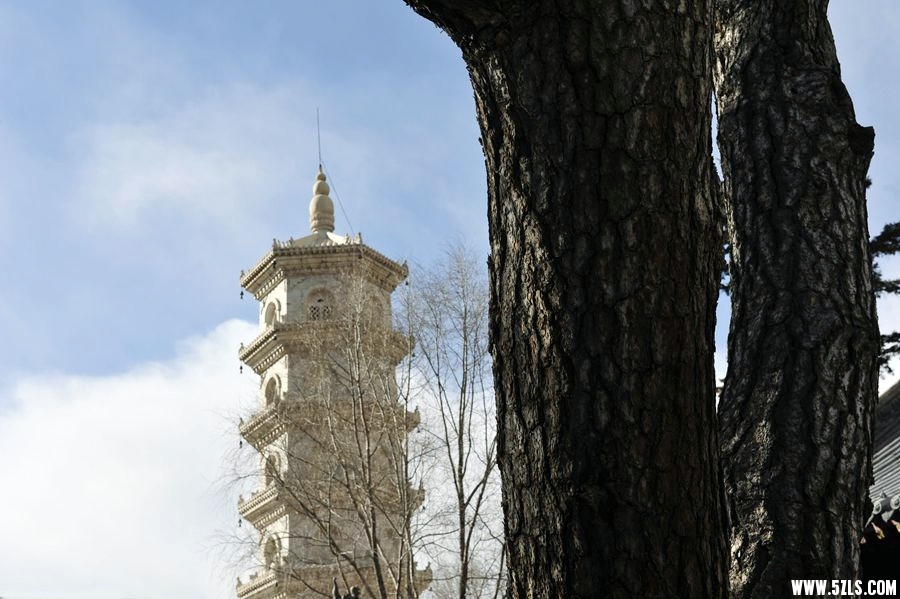 _DSC2072__.jpg