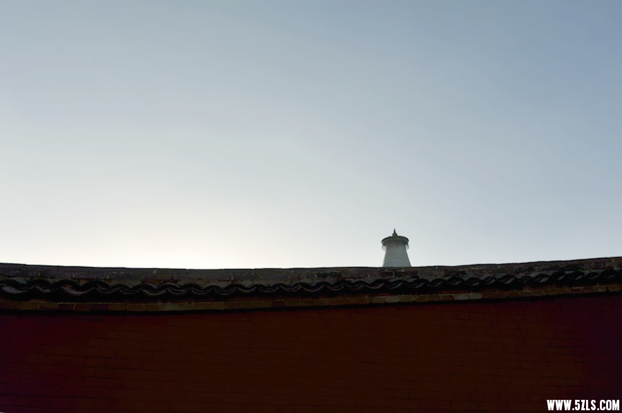 _DSC1783__.jpg