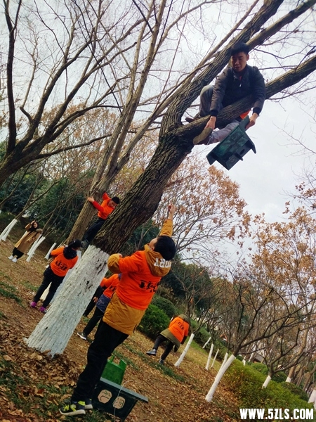 IMG_20180101_092316.jpg