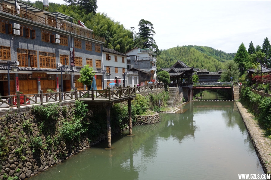 DSC01177.jpg