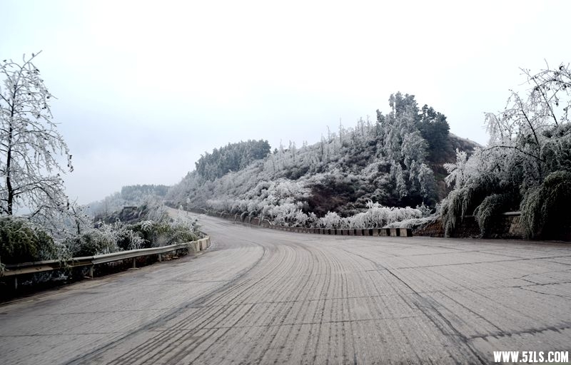 老挝行 197.JPG
