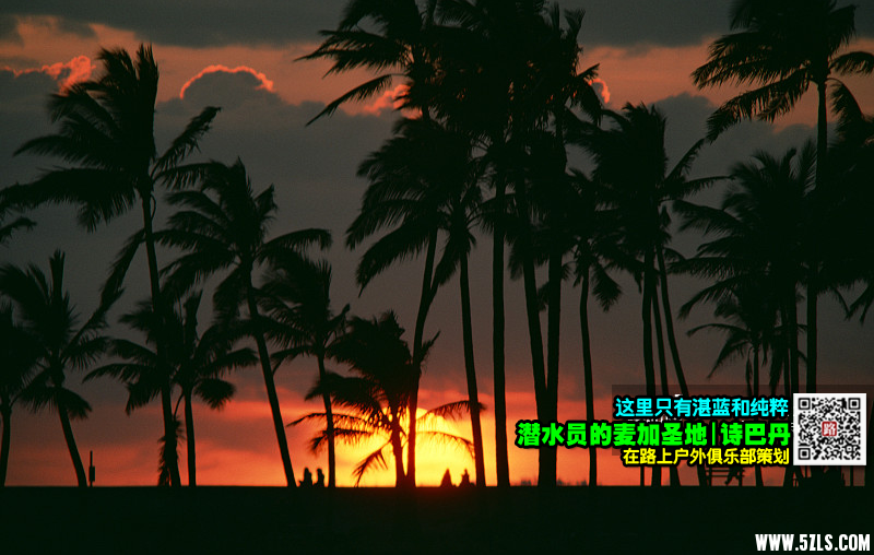 2018ʫ͵022.png