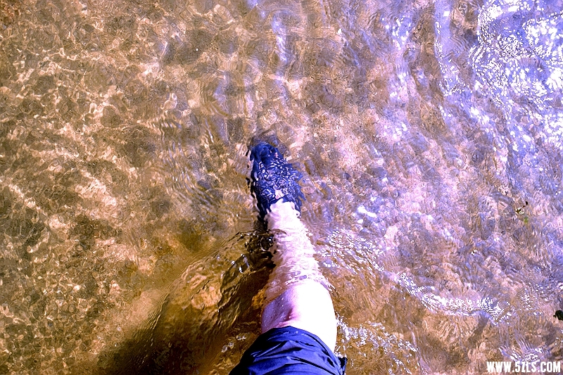 DSC_6457.JPG