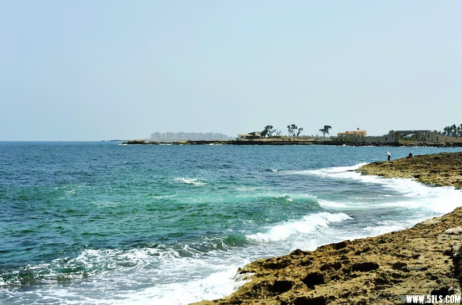 _DSC8073__.jpg