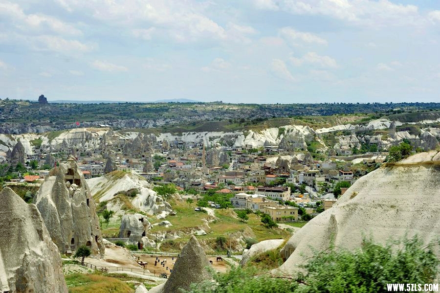 _DSC4554__.jpg
