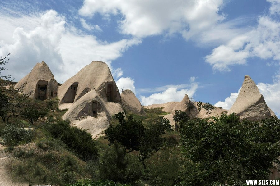 _DSC4592__.jpg