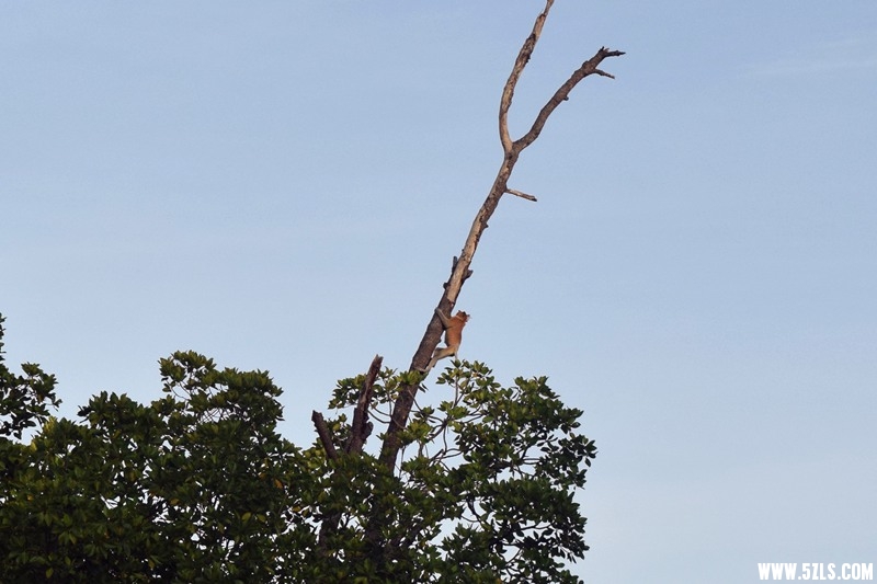 DSC_7214.JPG