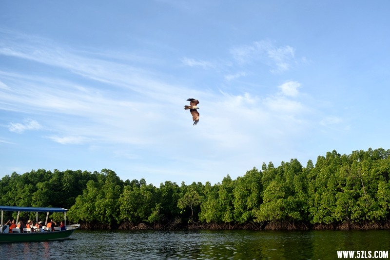 DSC_7177.JPG