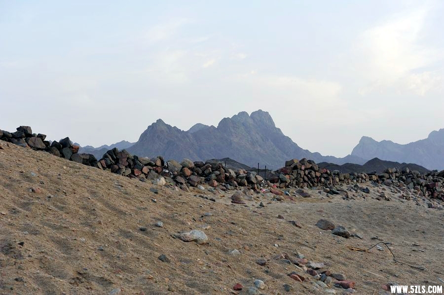 _DSC9351__.jpg