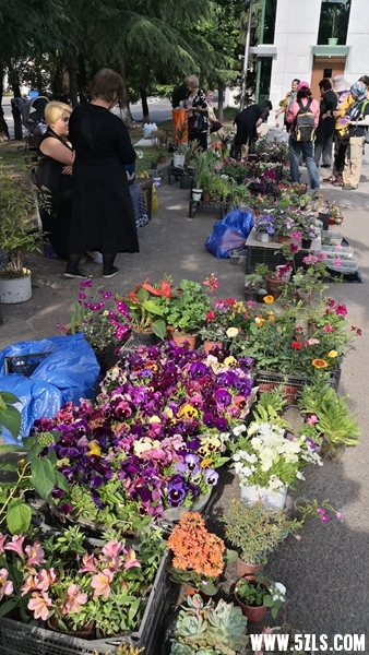 IMG_20180519_091857.jpg