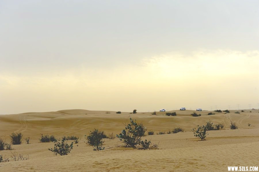 _DSC5154__.jpg