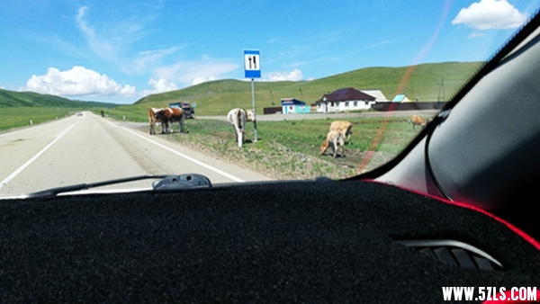 IMG_20180614_111248_1.jpg