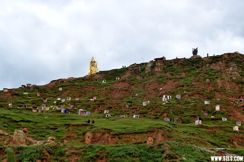 DSC_8837.JPG