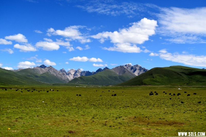 DSC_9134.JPG