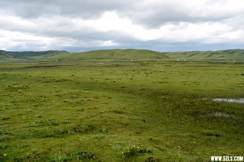 DSC_9342.JPG