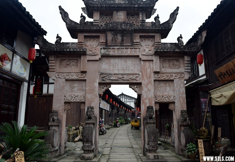 DSC_9515.JPG