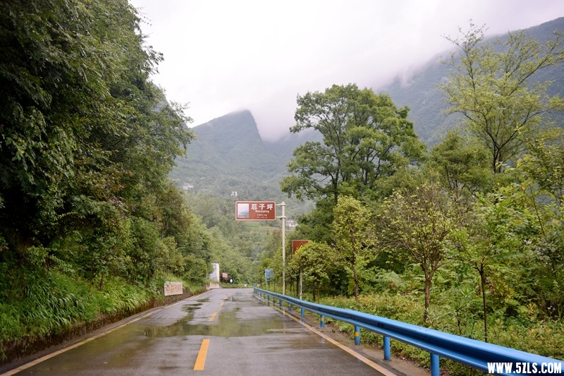 DSC_9687.JPG