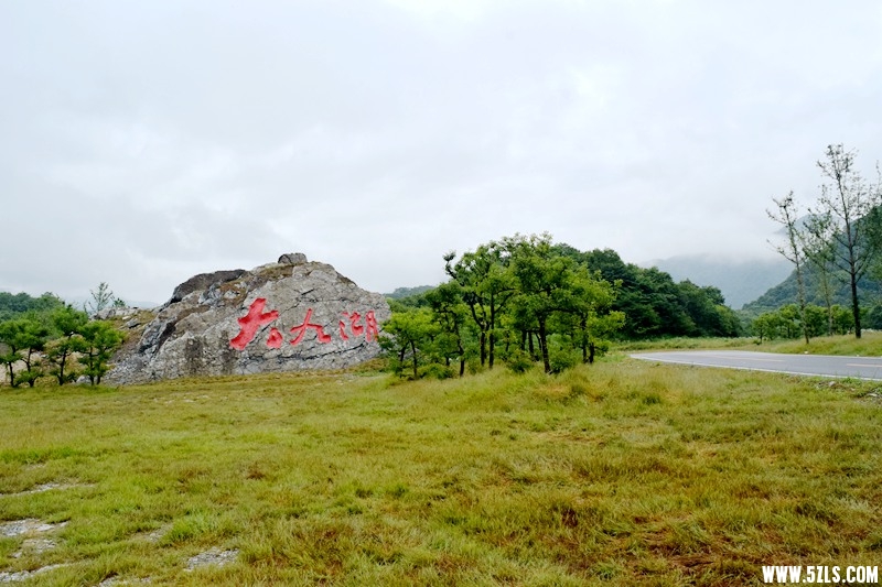 DSC_9833.JPG