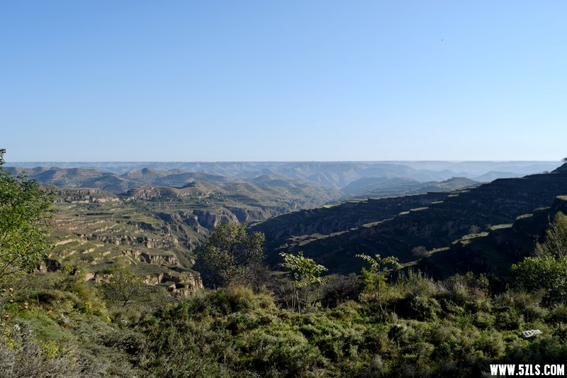 DSC_0400.JPG
