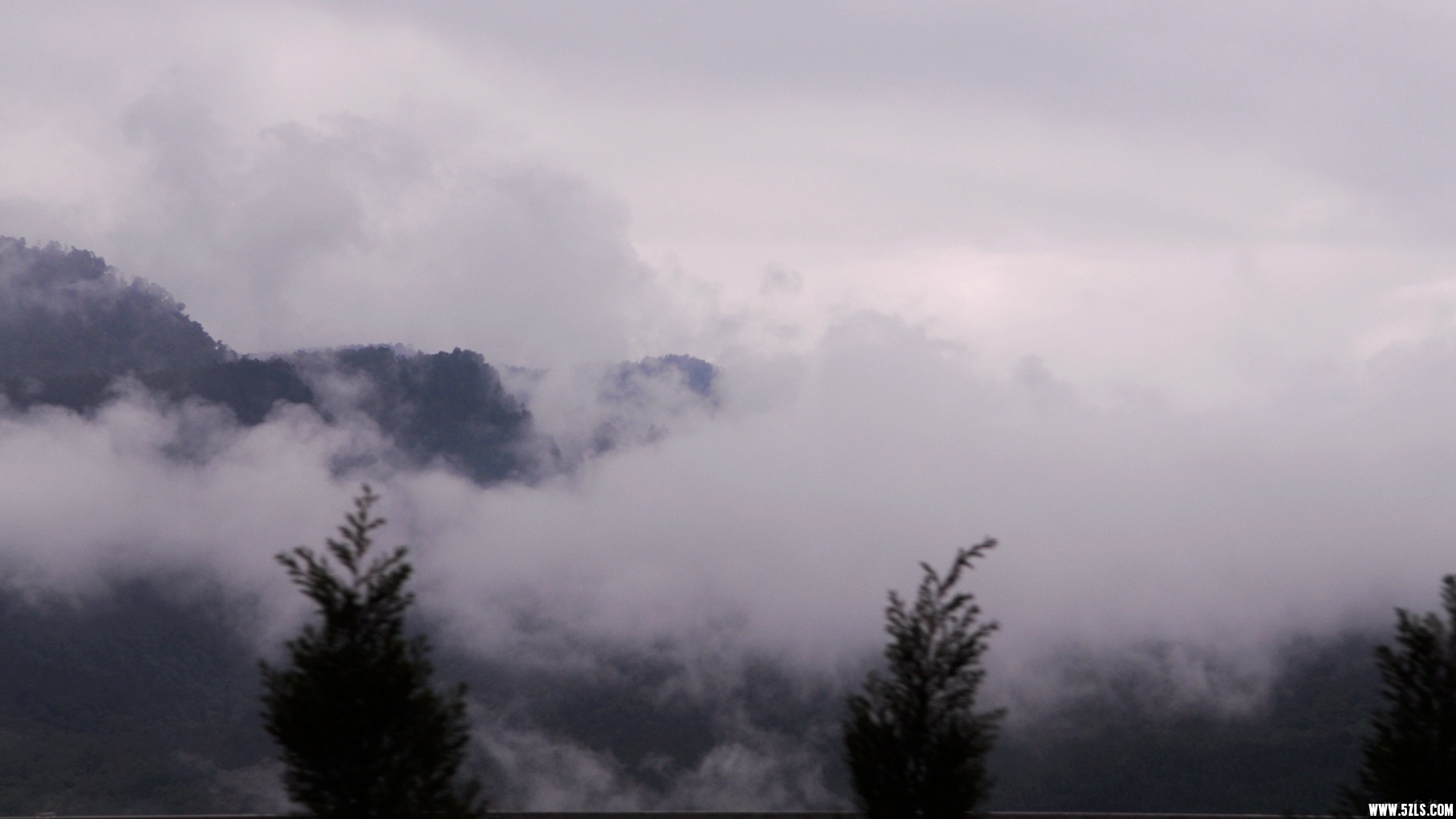 DSC_0027.jpg