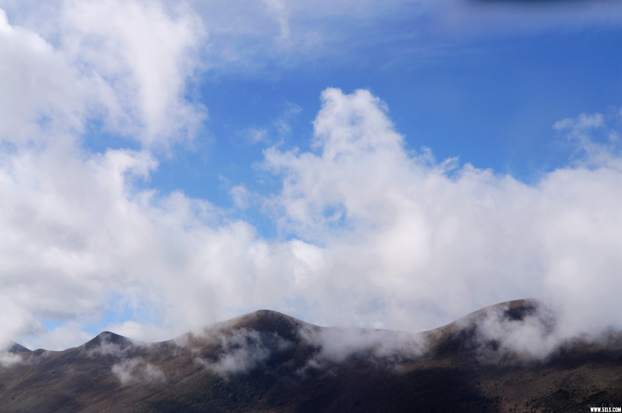DSC_0299.jpg