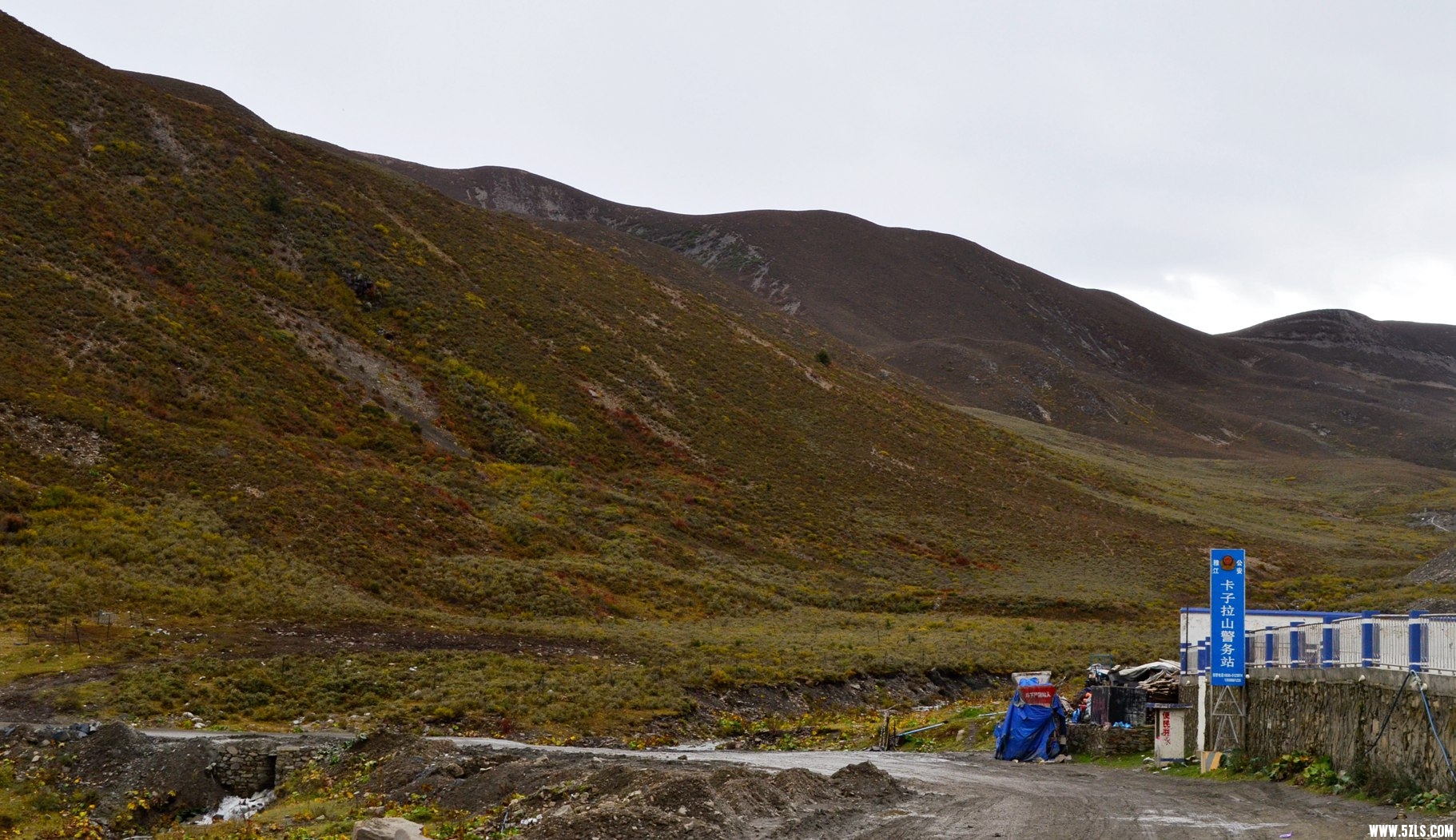 DSC_0320.jpg
