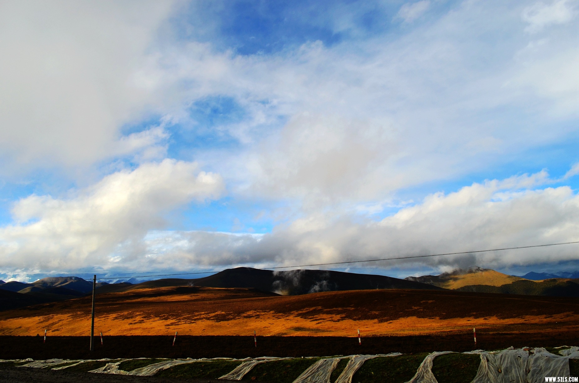 DSC_0387.jpg