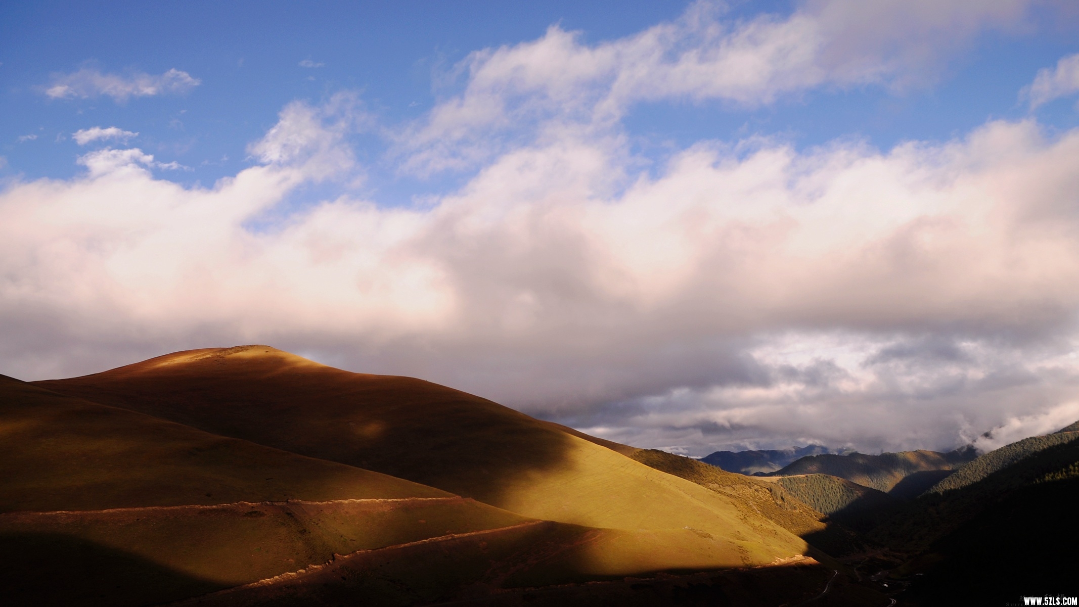 DSC_0392.jpg