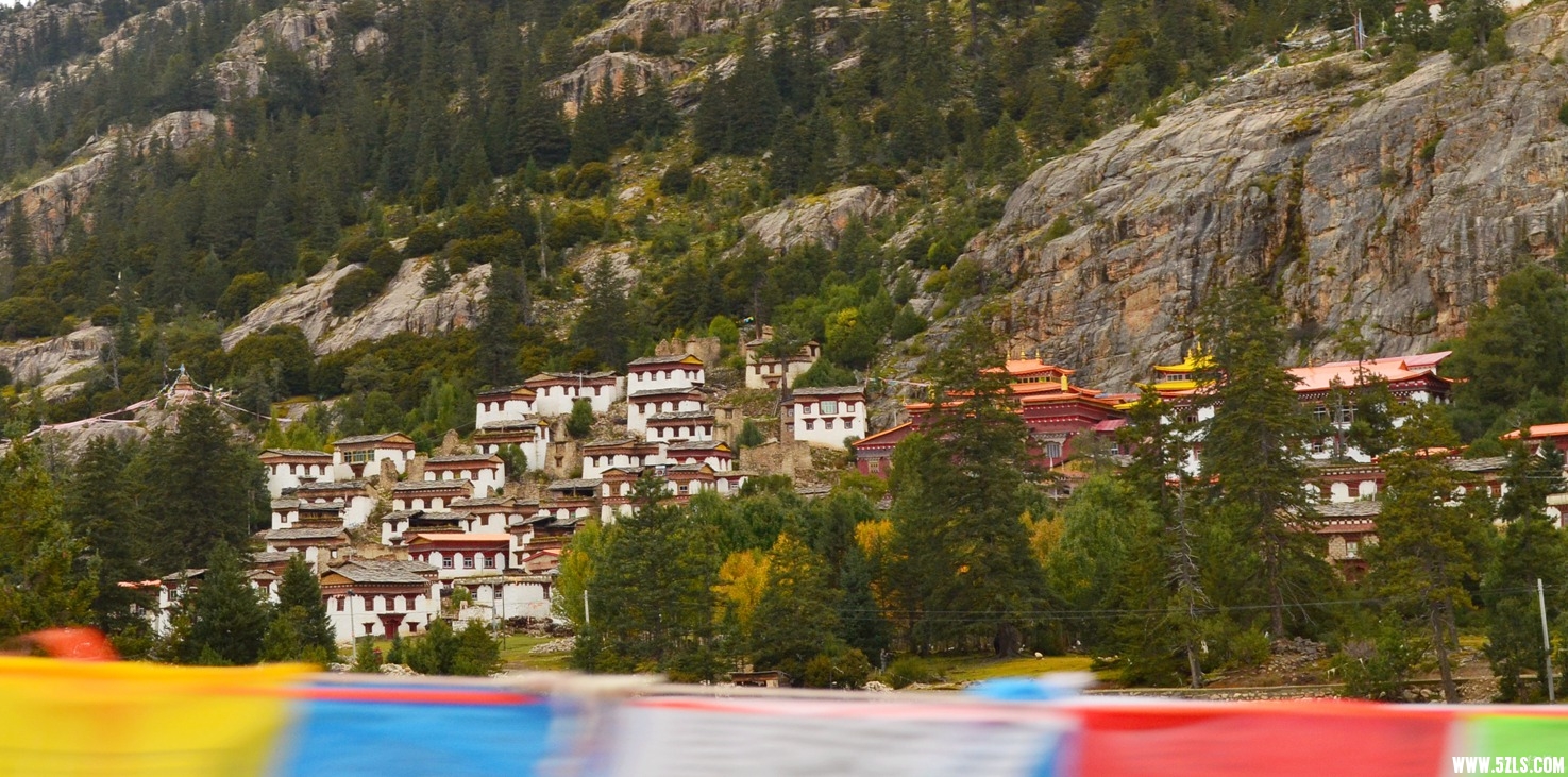 DSC_0574.jpg