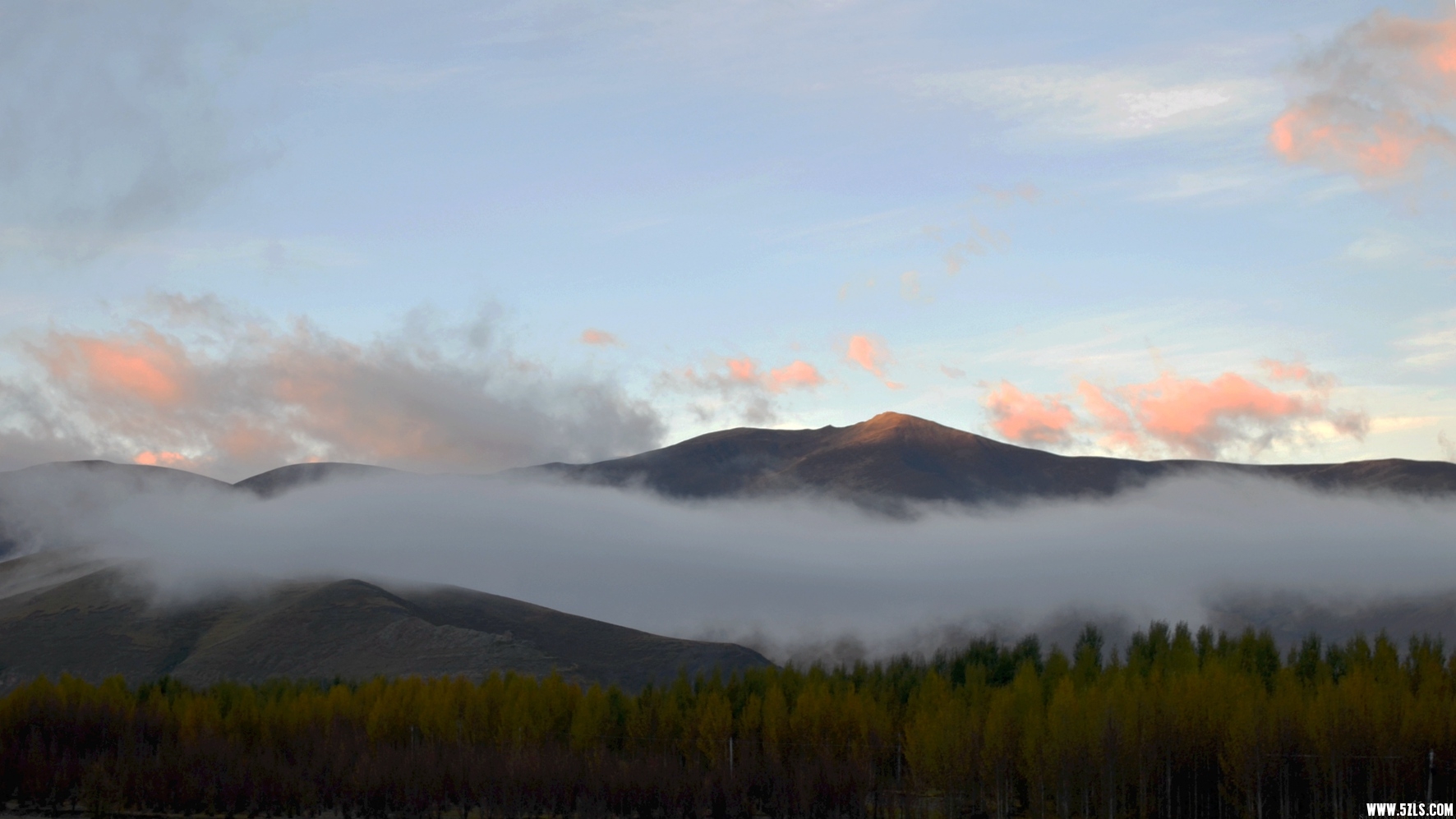 DSC_0669.jpg