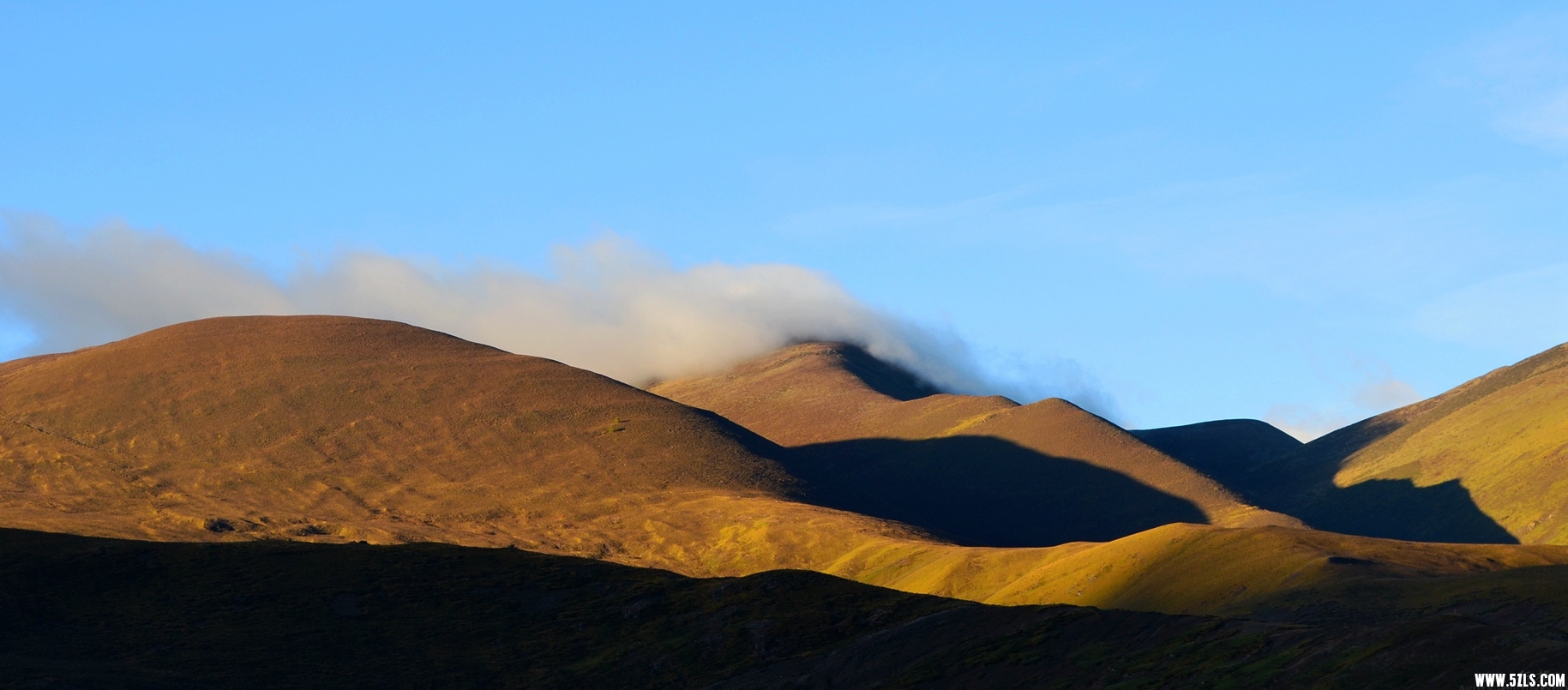 DSC_0702.jpg