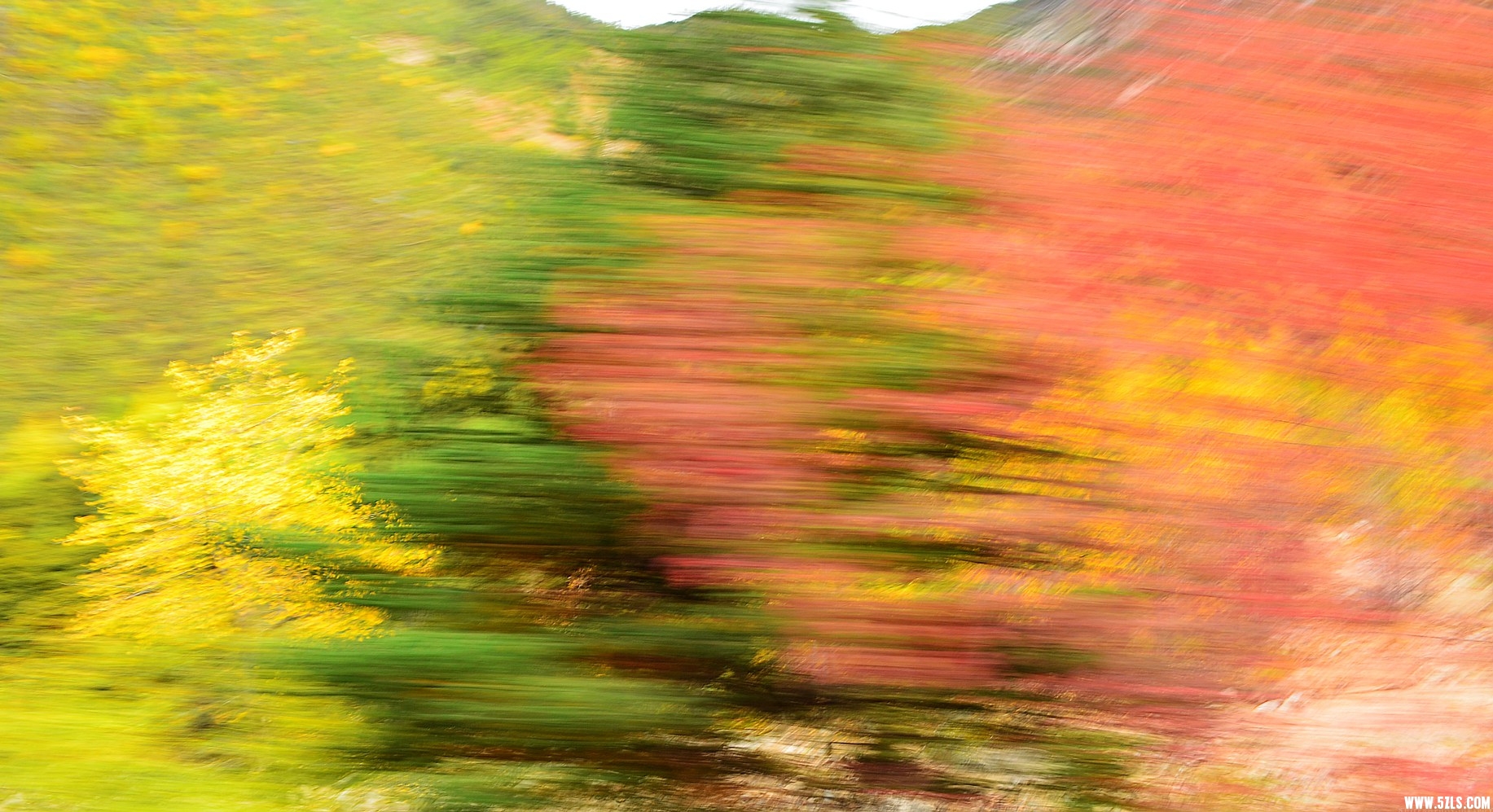 DSC_0708 .jpg