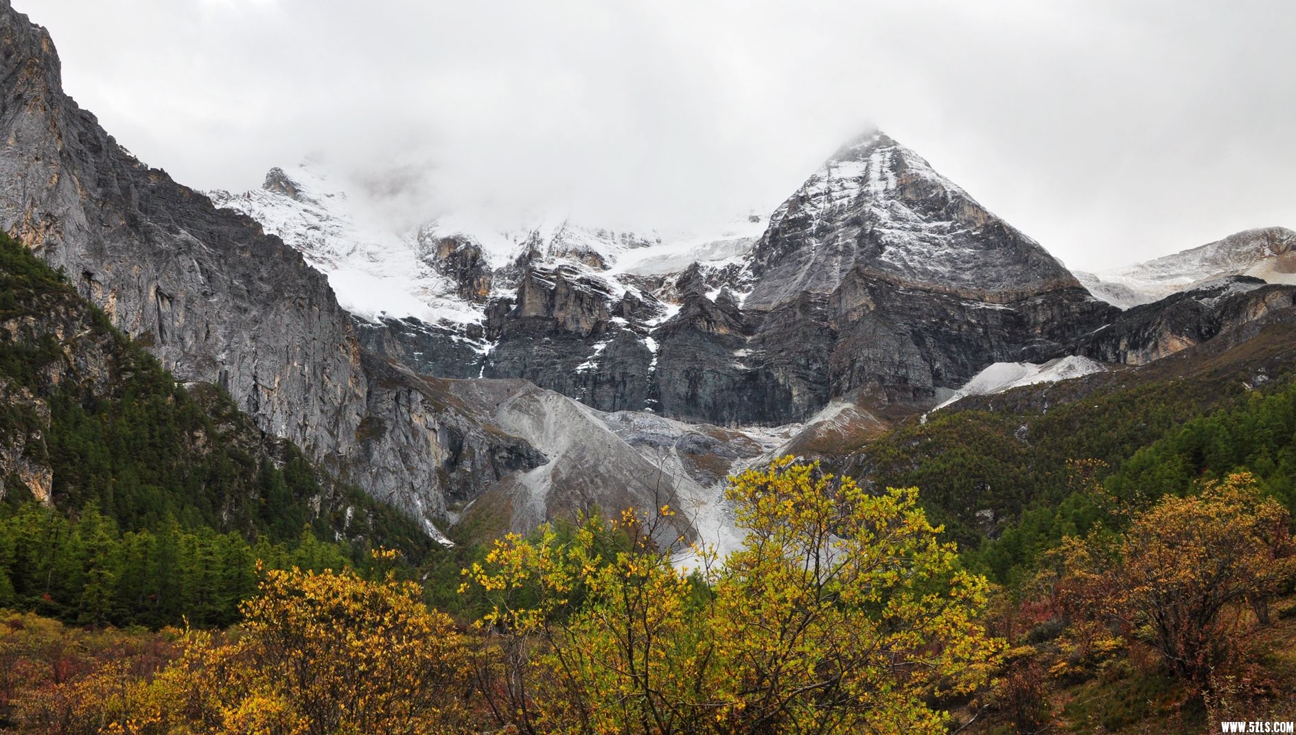 DSC_0876.jpg