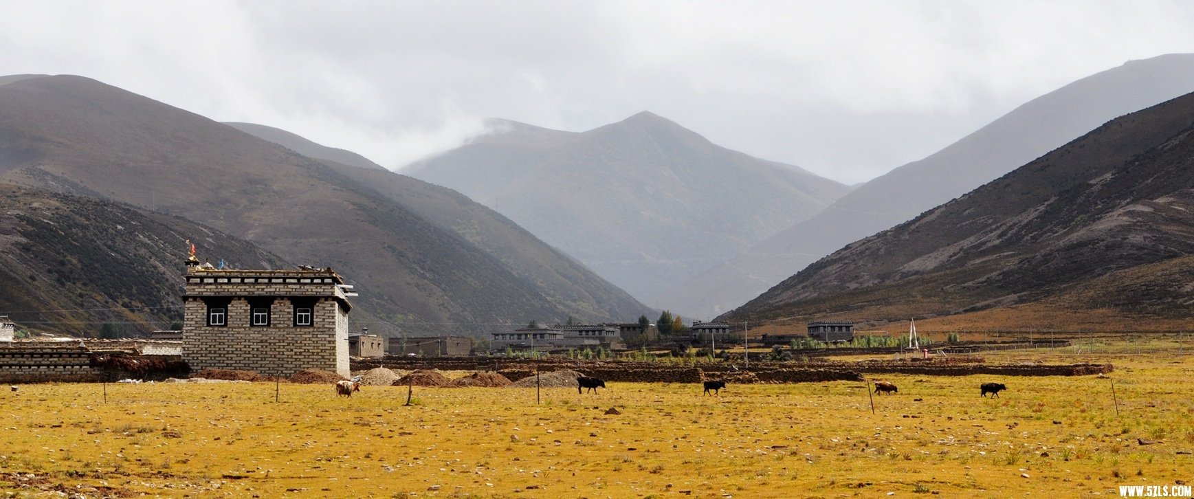DSC_0075.jpg