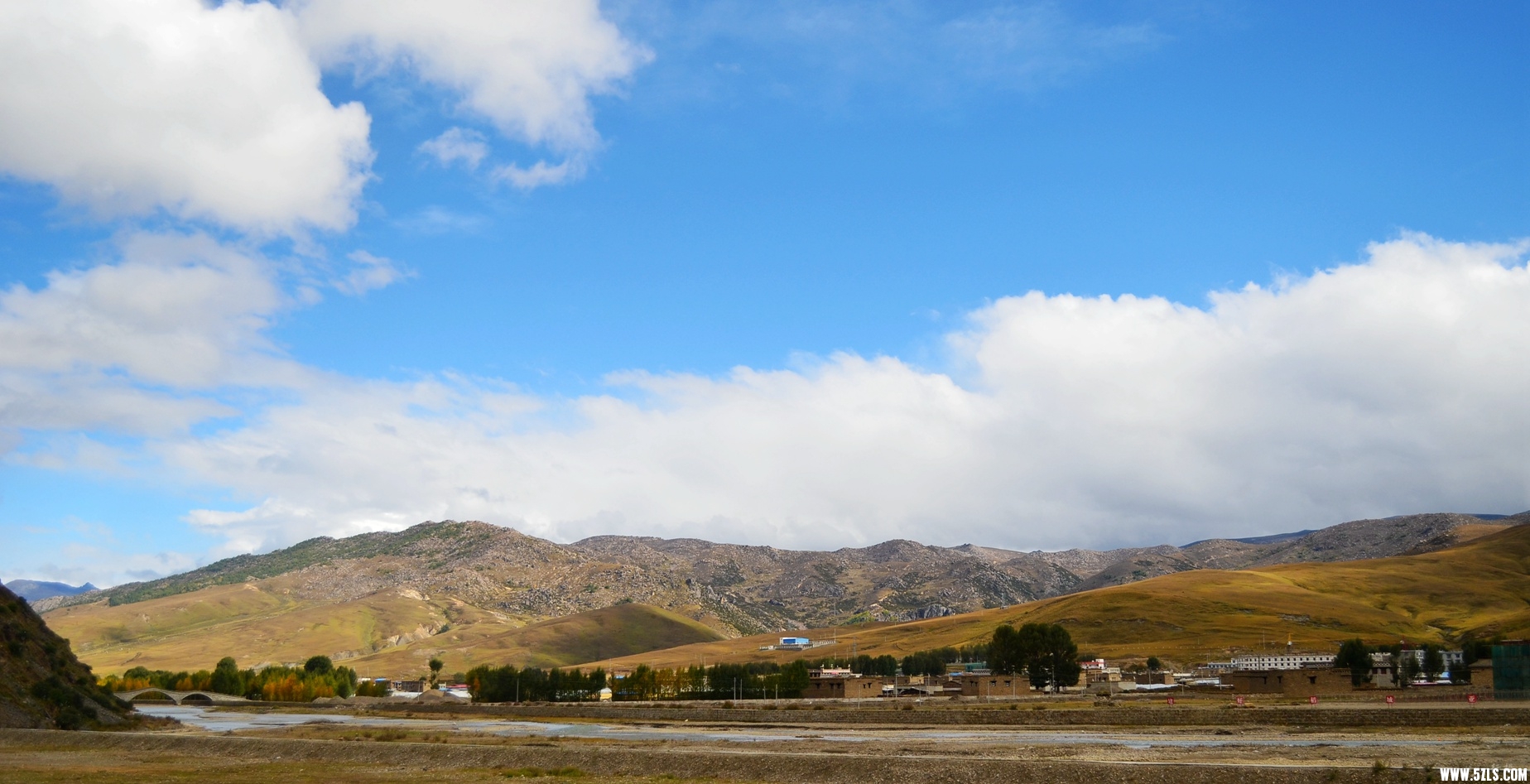 DSC_0140.jpg