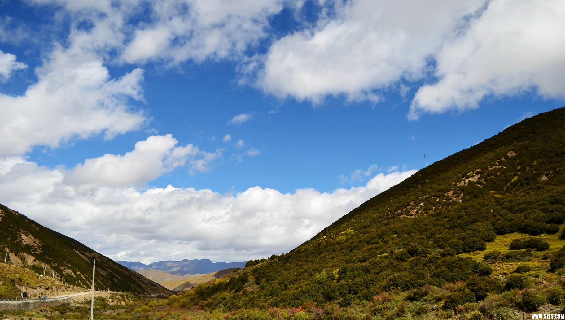 DSC_1017.jpg