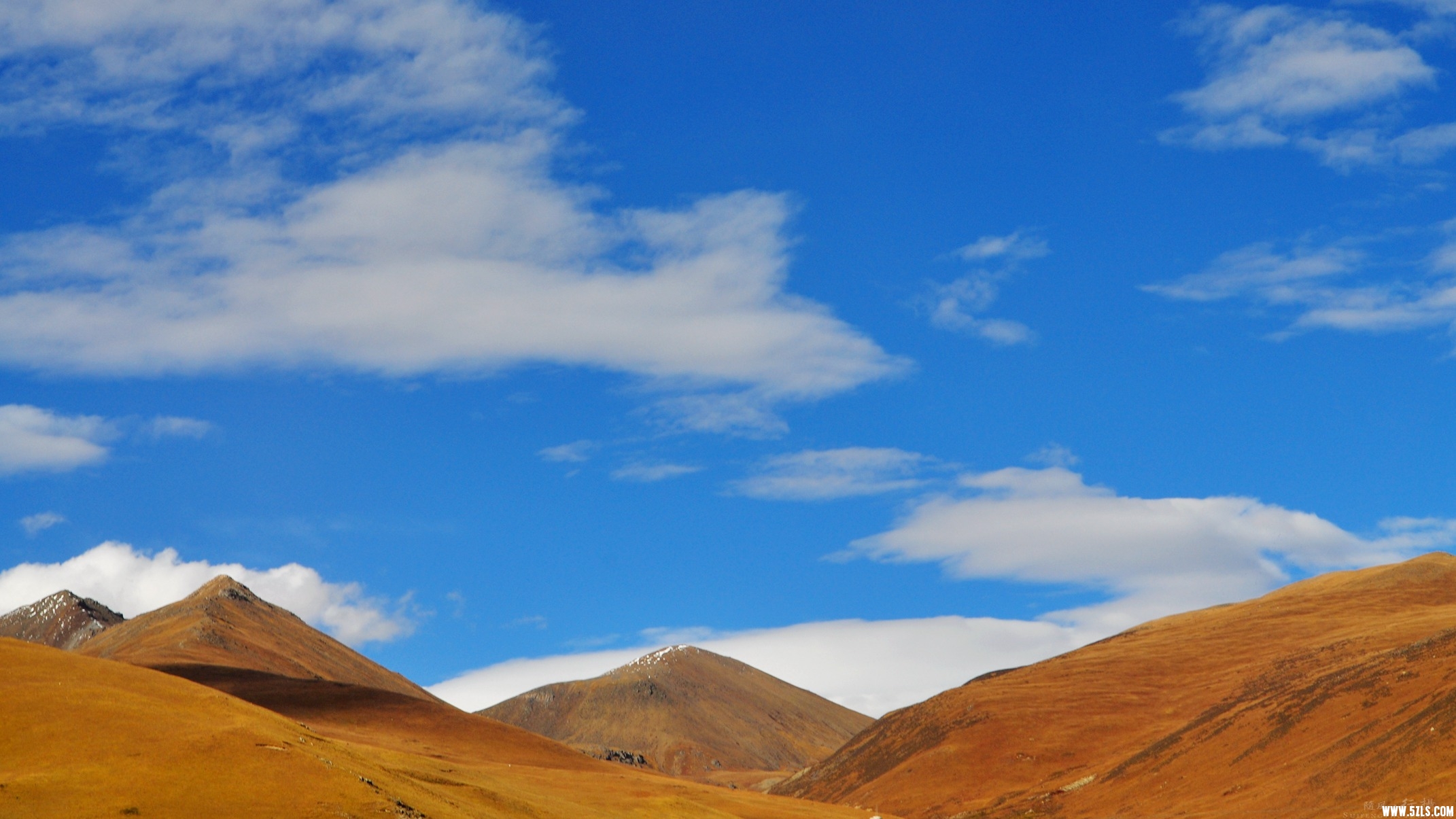 DSC_0227.jpg