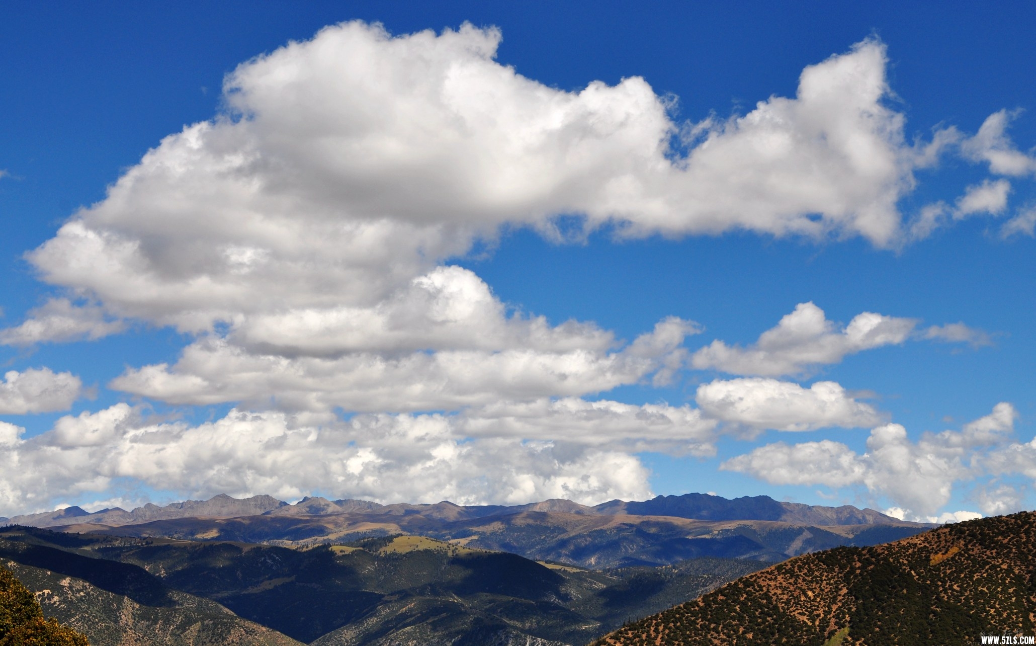 DSC_0560.jpg