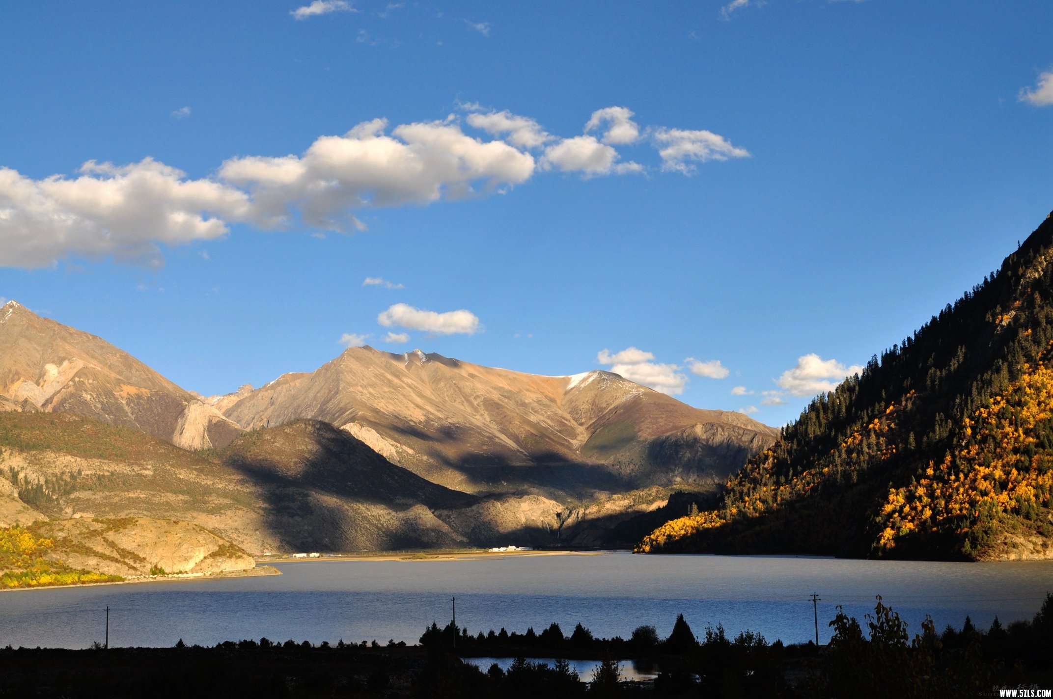 DSC_1001.jpg