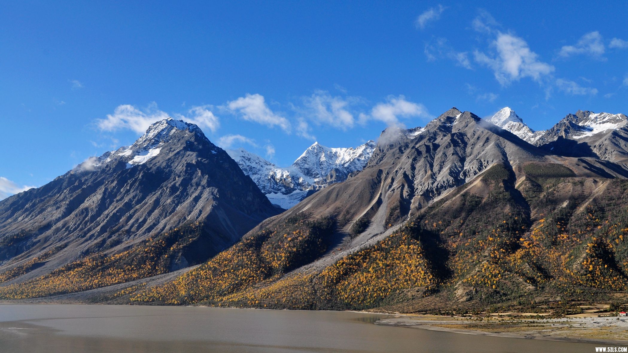 DSC_0154.jpg