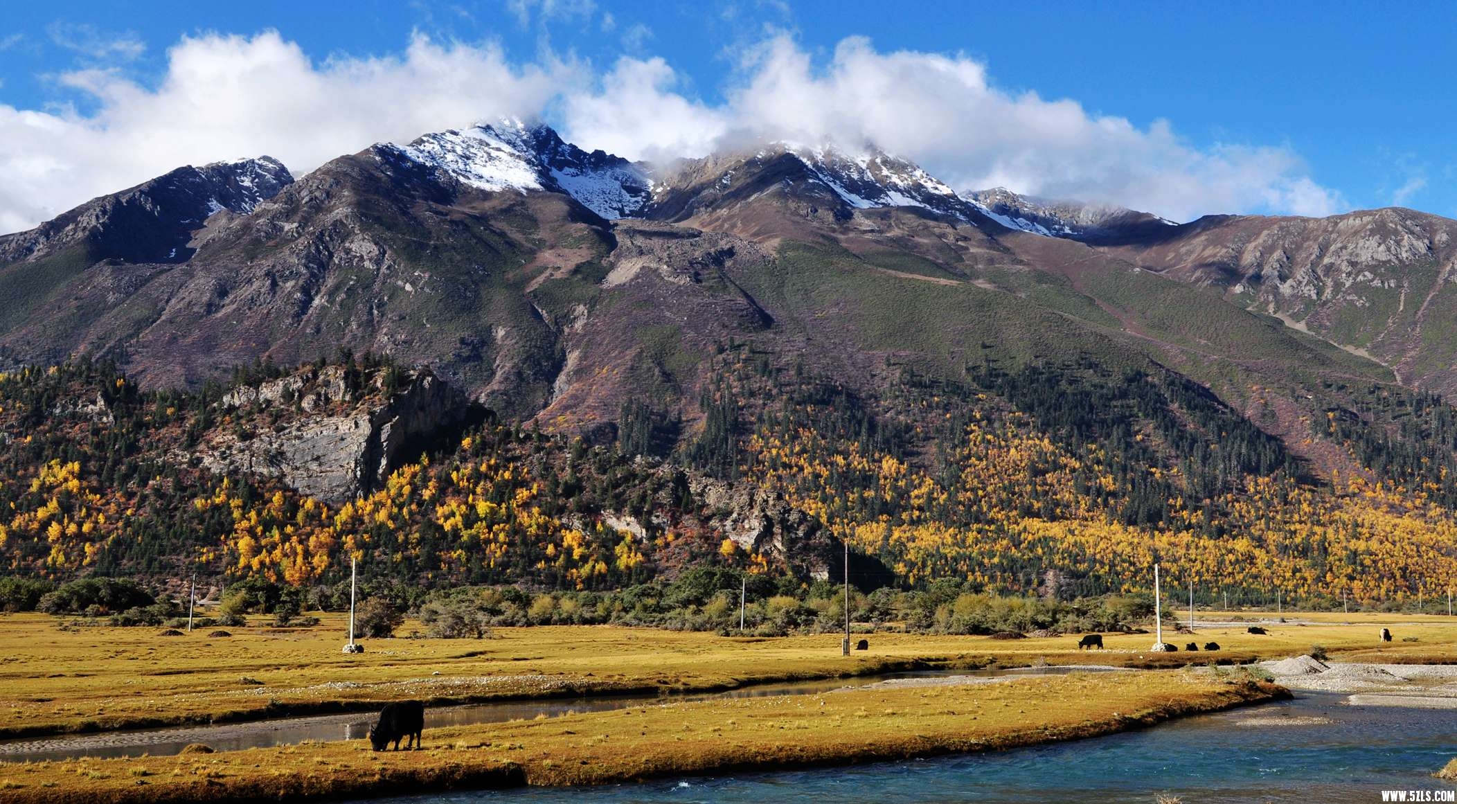 DSC_0227.jpg