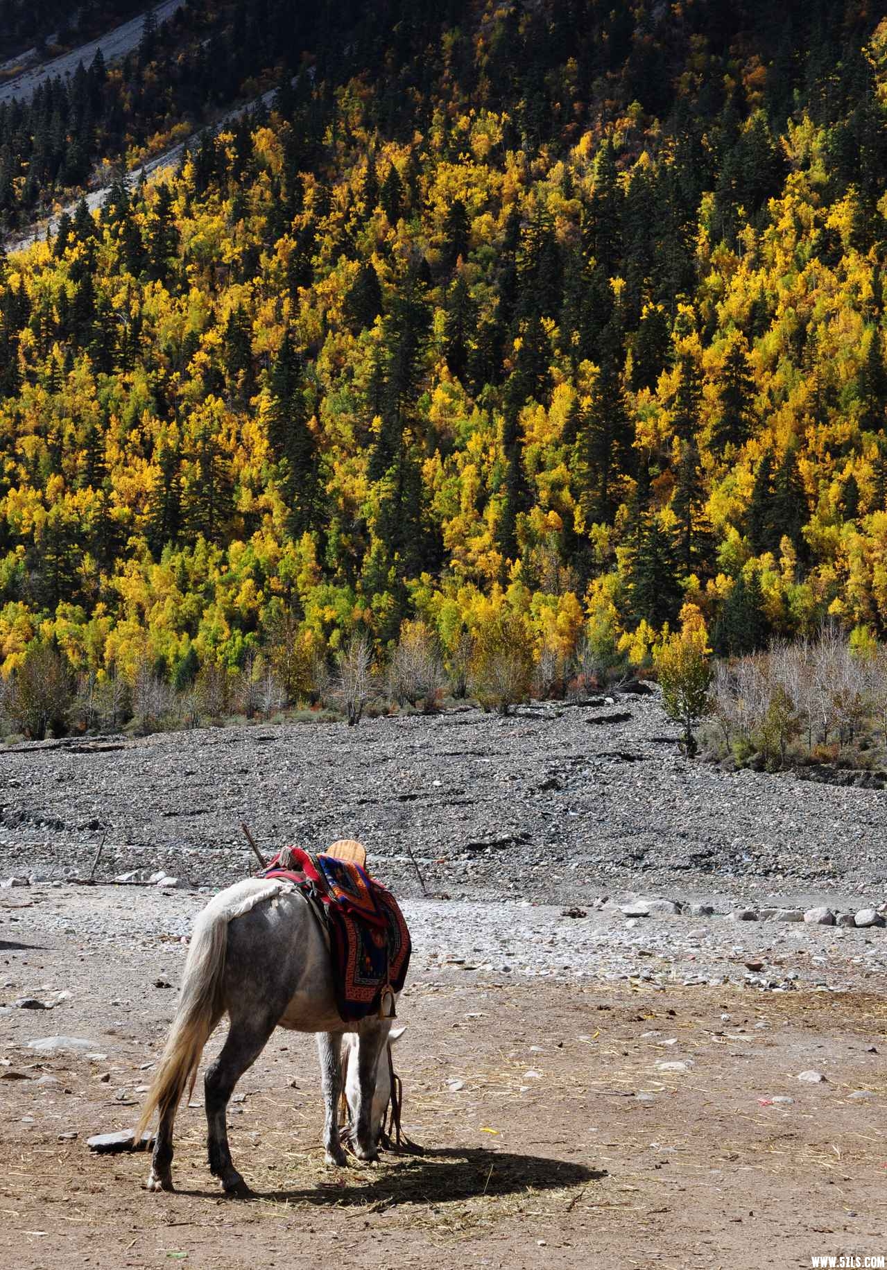 DSC_0430.jpg