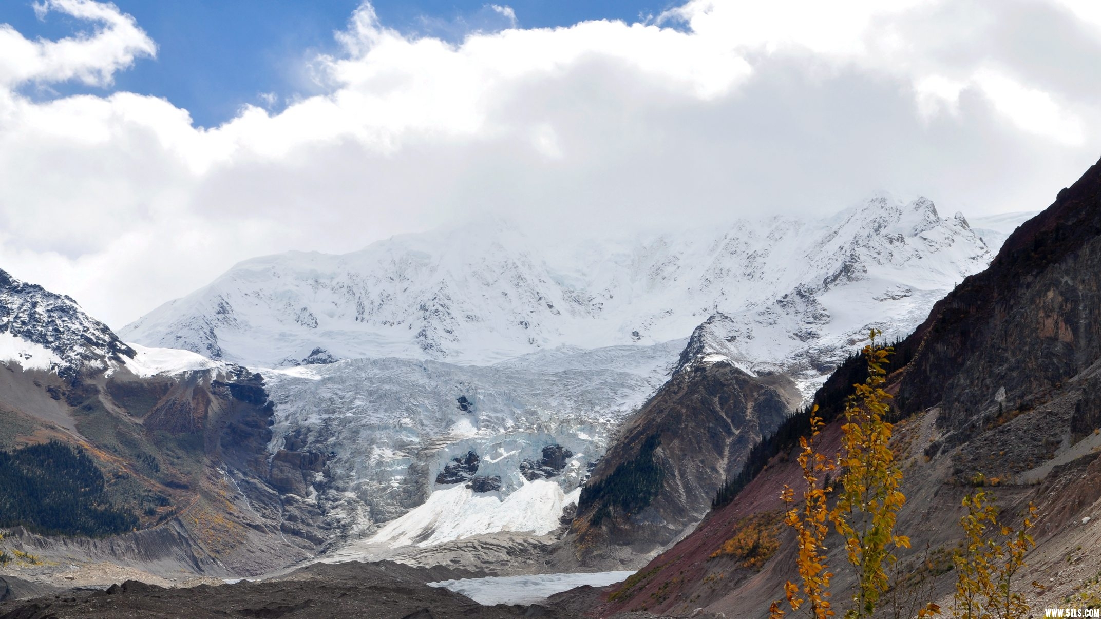 DSC_0517.jpg