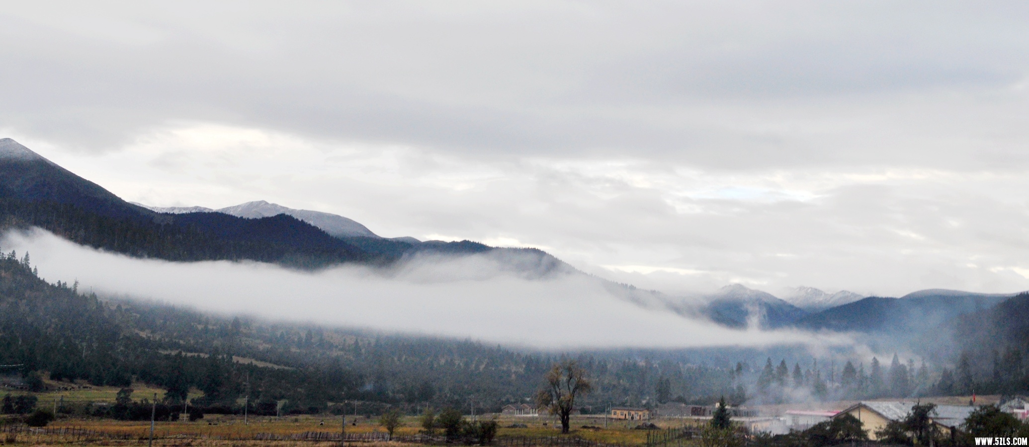 DSC_0717.jpg
