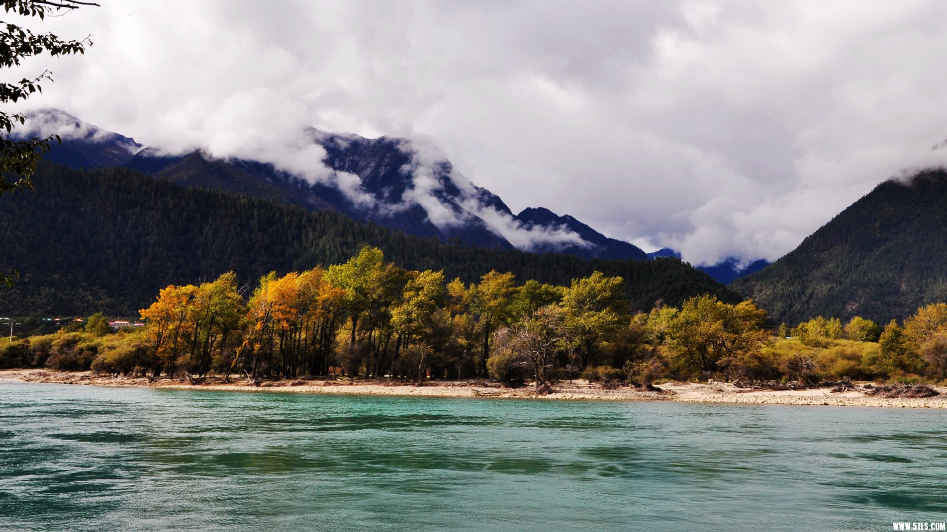 DSC_0955.jpg